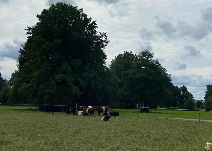 Spreewaldferienwohnungen Stein - Greschow Byhlen