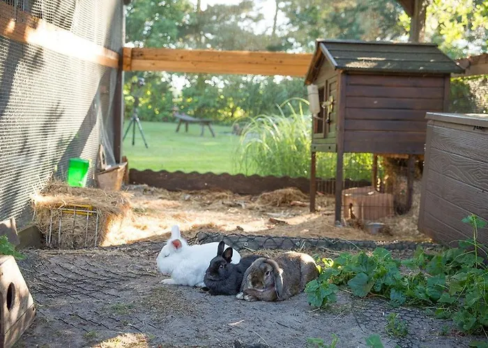 Spreewaldferienwohnungen Stein - Greschow *